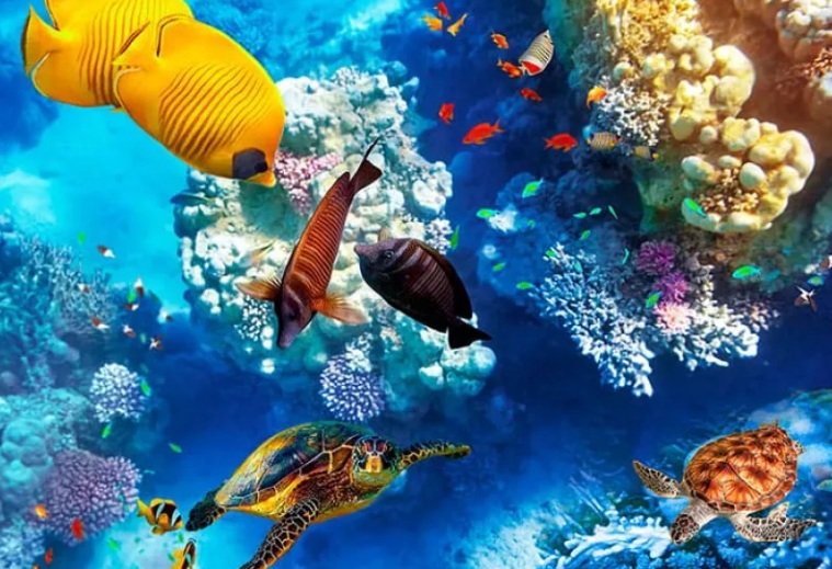 Calm underwater coral reef with a sea turtle drifting past
